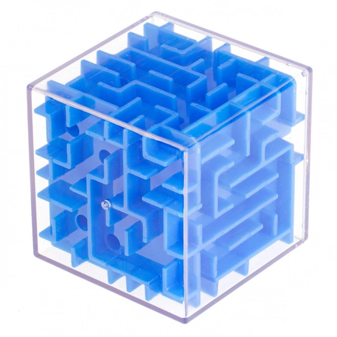 3D miselna kocka - Labirint