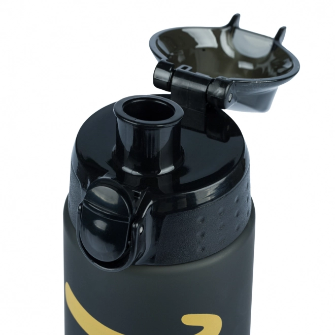 BAAGL Tritan steklenica za pitje Gold, 700 ml