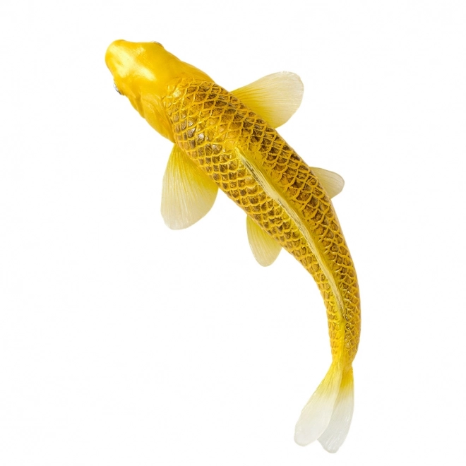 Mojo krap koi Matsuba