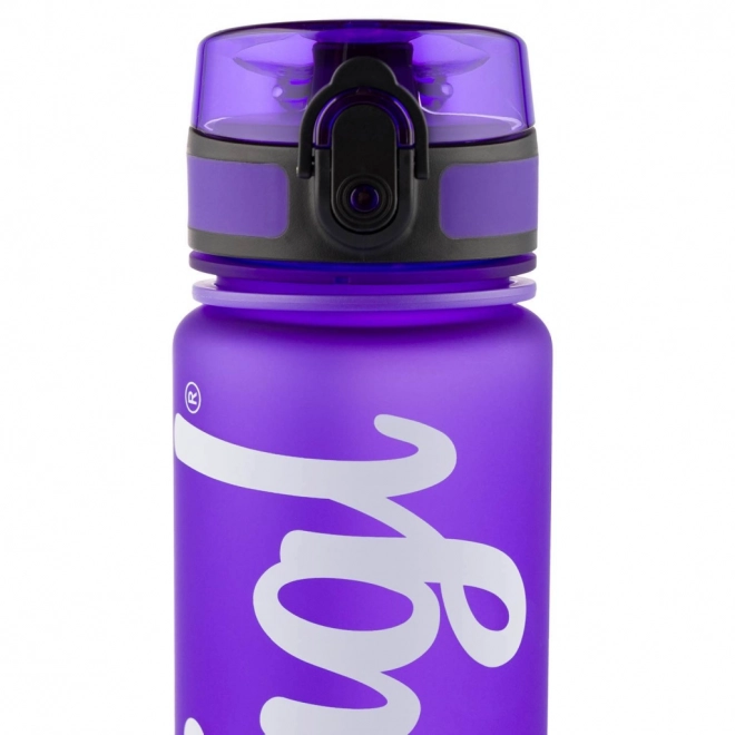 Vijolična Tritanova Steklenica za Pitje 500ml Baagl