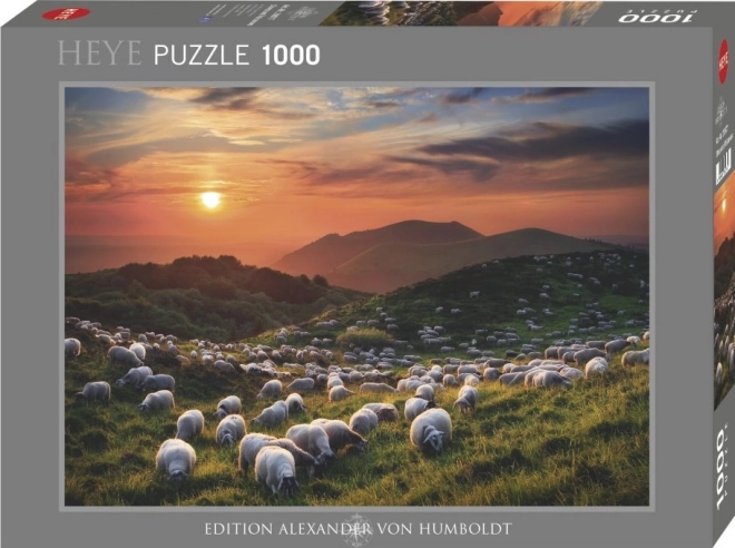 Sestavljanka 1000 kosov Ovce in vulkani