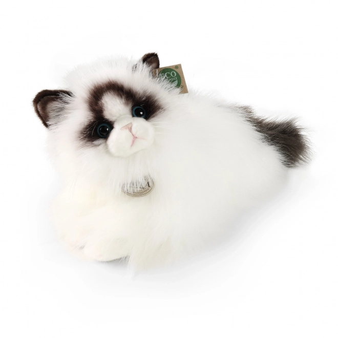 Plišasta mačka Ragdoll 35 cm ekološka