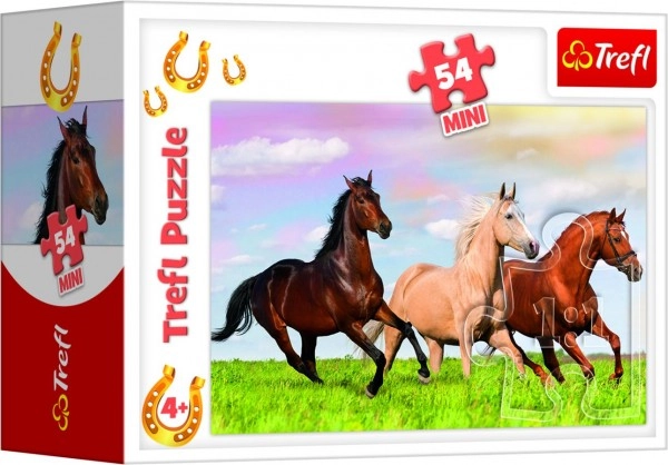 Lepi motivi konjev