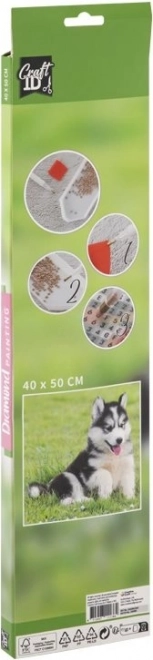 GRAFIX Diamantno slikanje Husky 40x50cm