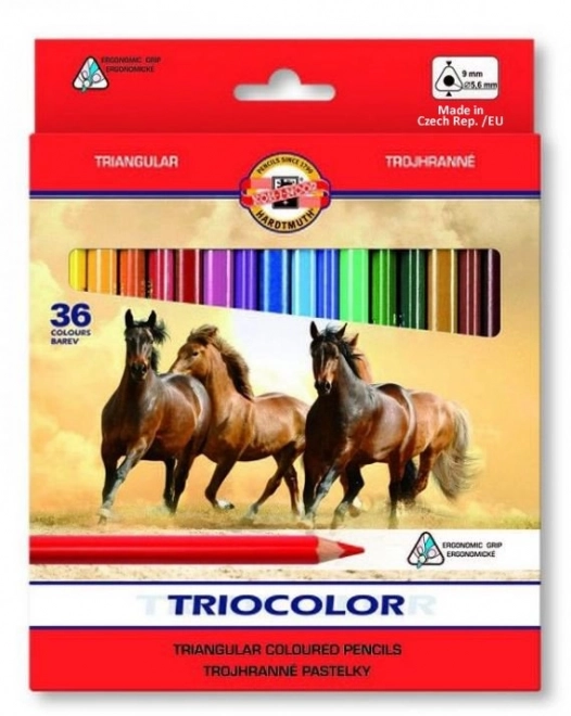 KOH-I-NOOR Trikotne barvice Triocolor 3145 - 36 kosov