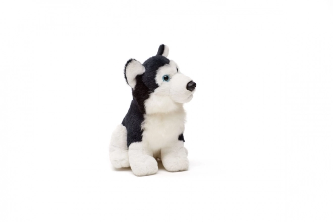 Plišasti husky 15 cm