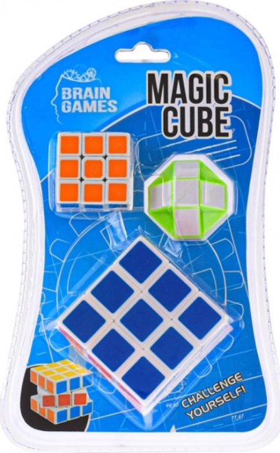 brain games komplet miselnih iger: sestavljive kocke in snake