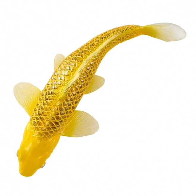 Mojo krap koi Matsuba