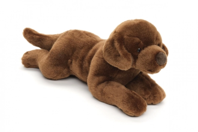 Pliš labrador 40 cm EKO-PRIJAZEN