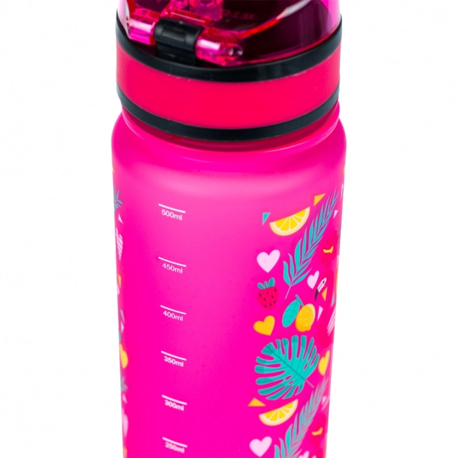 BAAGL Tritanová steklenička za pijačo, Plamenci, 500 ml