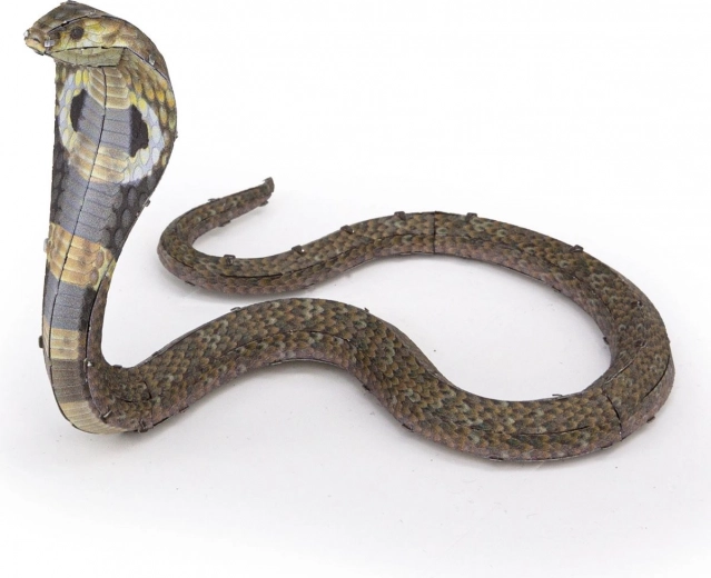 Prilagodljiva, impresivna poza kobre