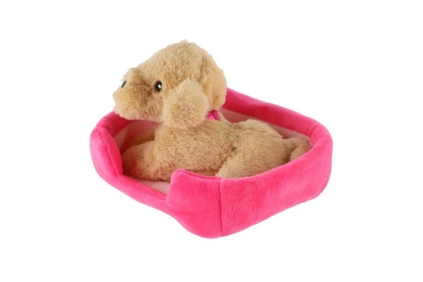 Plišasti kuža v ležišču 4 barve 22x24cm 24m+