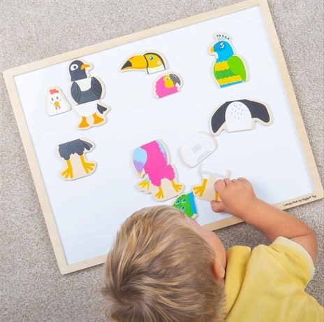 Leseni magnetki Ptičji prijatelji BIGJIGS TOYS