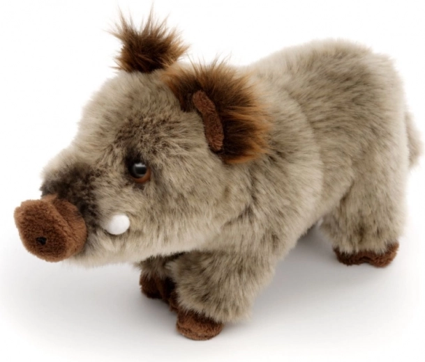 Realistični detajli divjega prašiča