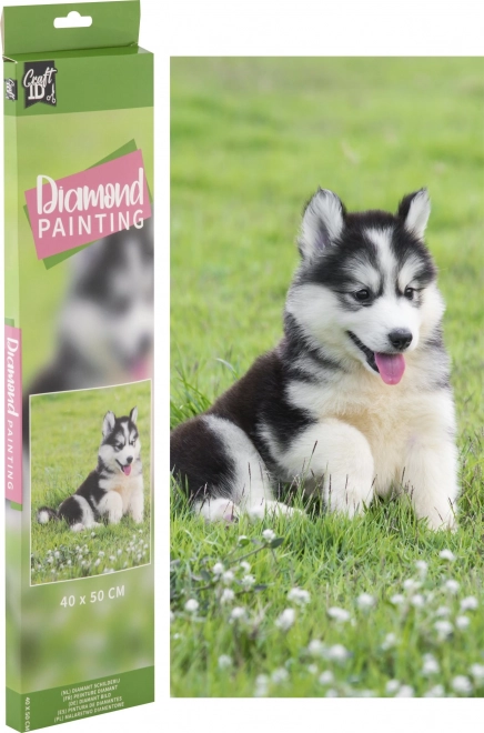 GRAFIX Diamantno slikanje Husky 40x50cm