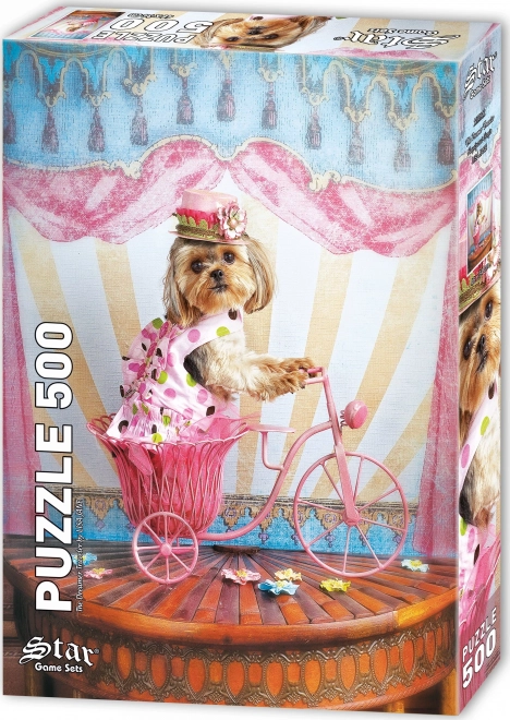 Puzzle Sanjač popotnik 500 kosov