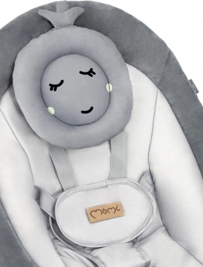 Udobno sedišče z blazinico in varnostnimi pasovi