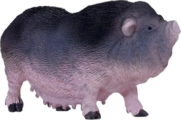 Izobraževalna vrednost