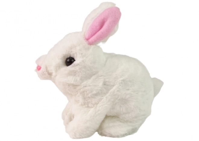 Interaktivni zajček Bunny Rabbit Bela Korenčica Skleda Maskota