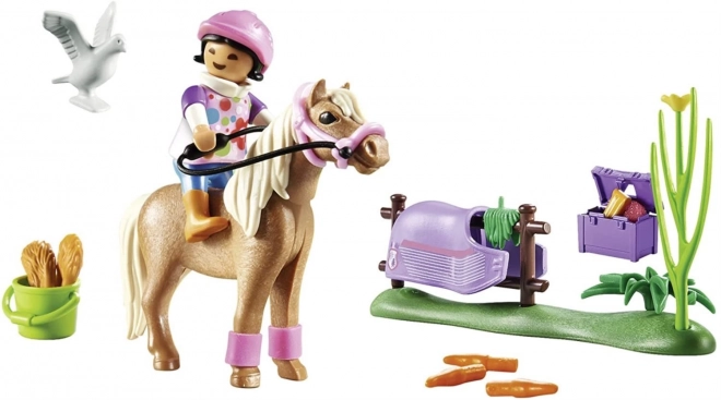 PLAYMOBIL® Country 70514 Zbirateljski islandski poni