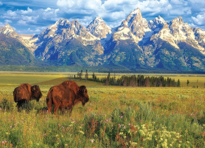 Sestavljanka čudoviti Narodni park Grand Teton 1000 delov