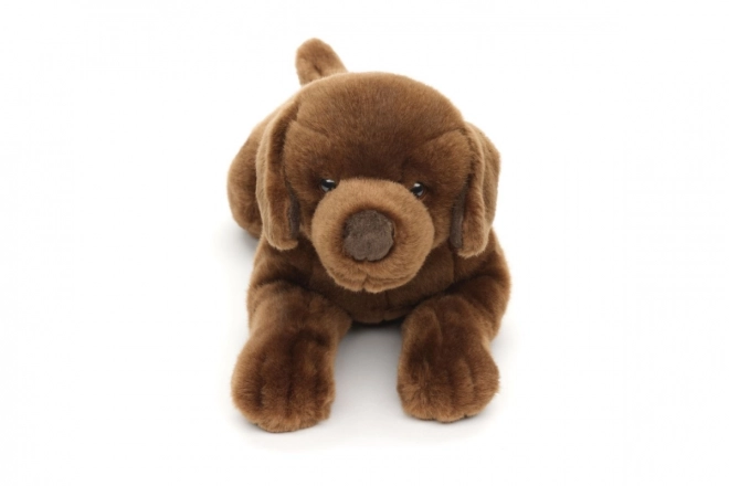 Pliš labrador 40 cm EKO-PRIJAZEN