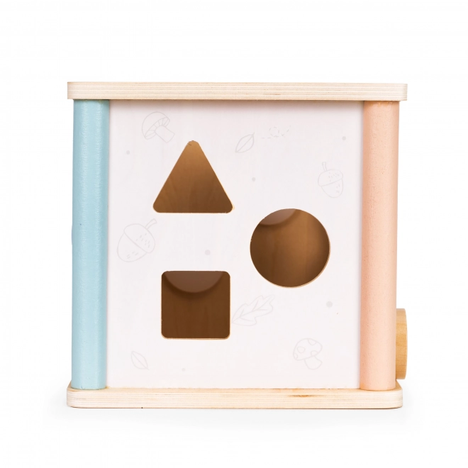Lesene izobraževalne kocke Ecotoys