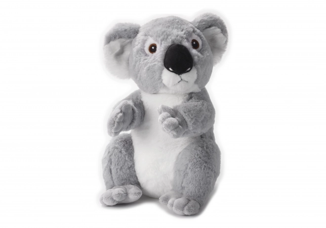 Igrača Eko Pliš medvedek koala 29 cm