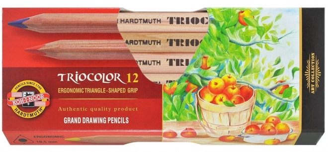 KOH-I-NOOR Trikotne barvice Triocolor 3152 - 12 kosov