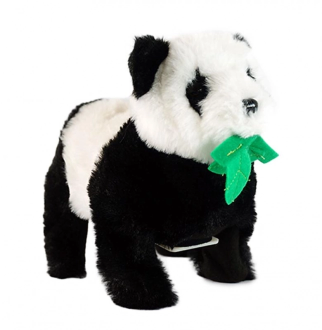 Akrobatski panda