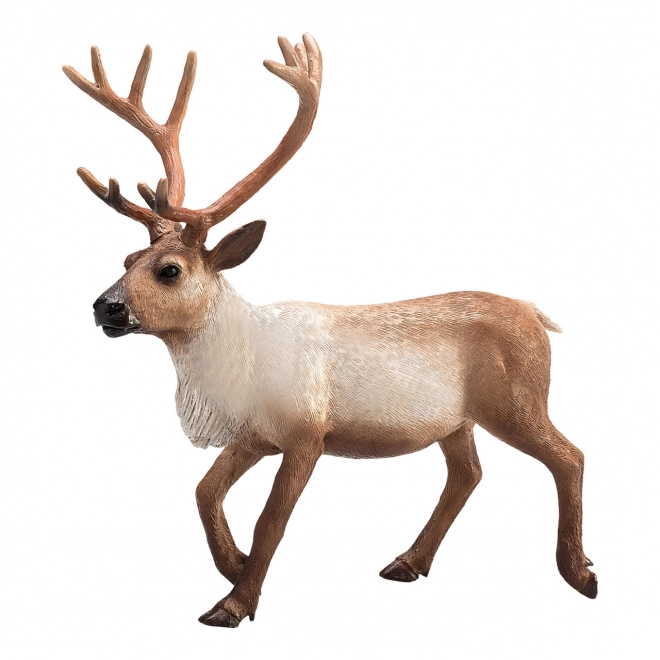 Mojo Animal Planet Pes