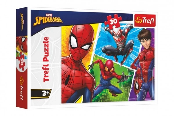 Sestavljanka Spider-Man in Miguel 30 kosov