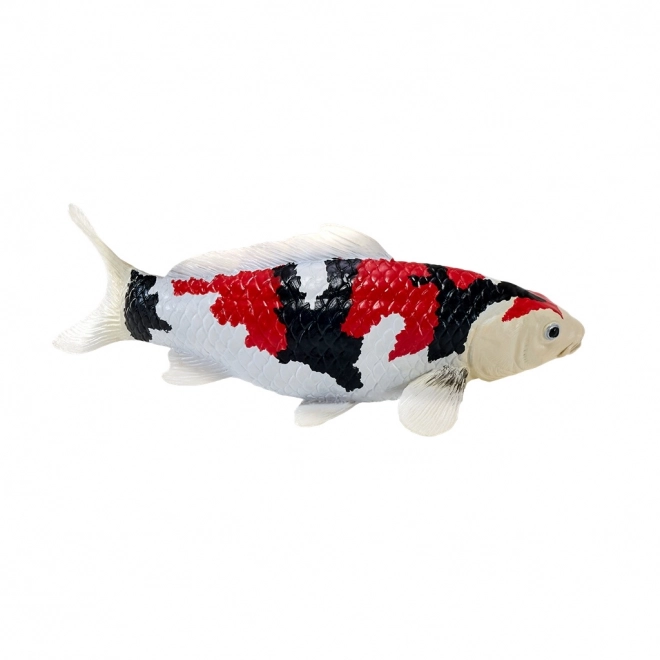 Mojo krap koi showa sanshoku