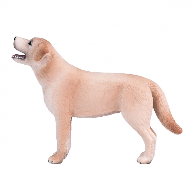 Realistična figura Labradorca