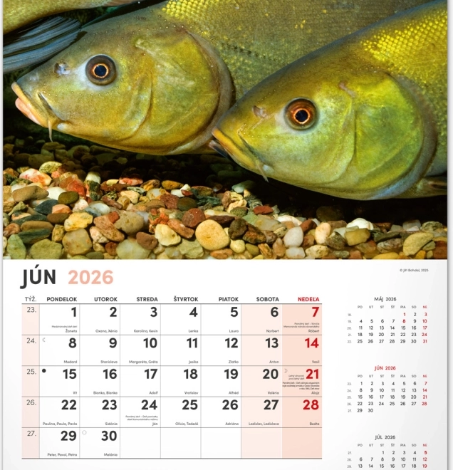 Stenski koledar Ribiški 2026