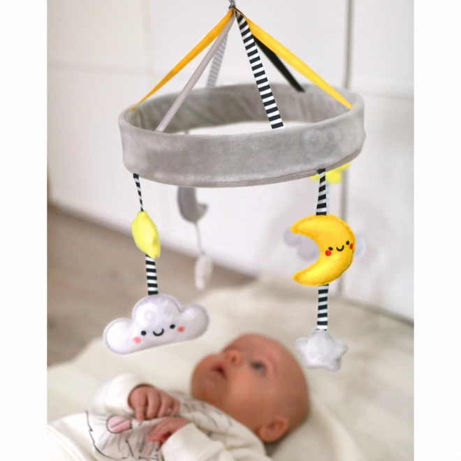 Montessori XXL izobraževalna škatla 7v1 TOOKY TOY