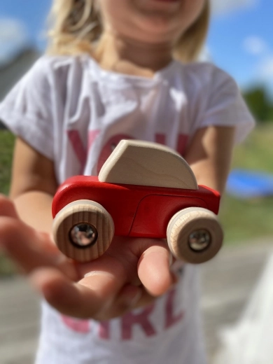 Razvoj motorike