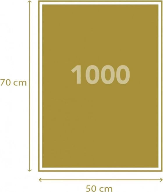 Sestavljanka s 1000 kosi Einsteinovo življenje