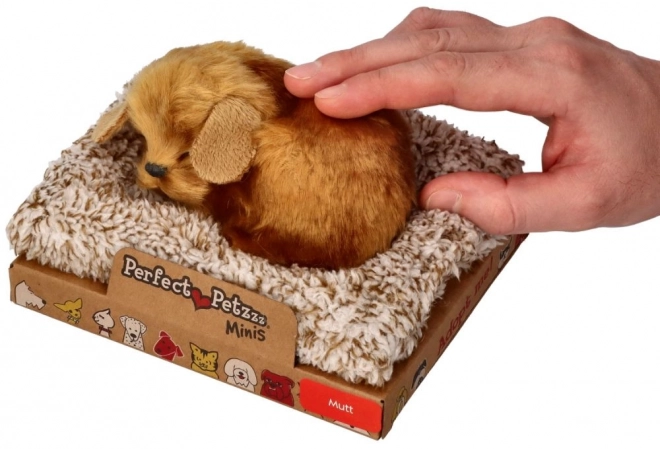 Majhen psiček Perfect Petzzz