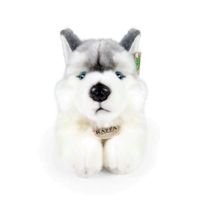 Rappa Plišasti pes husky ležeči 30 cm