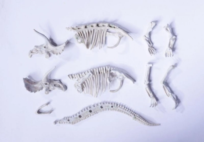 Komplet za izkopavanje in sestavljanje dinozavrskih okostij