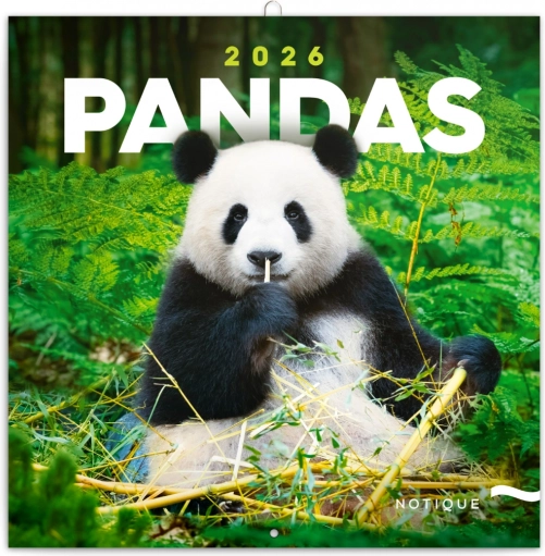 Beležniški koledar Pande 2026