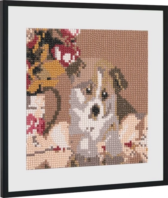 GRAFIX Diamantno slikanje Luštno psiček 20x20cm