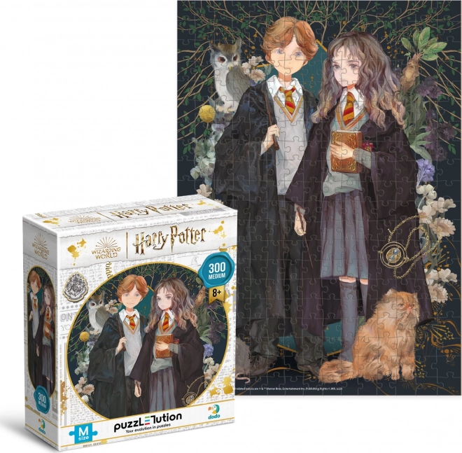 Uganka Harry Potter: Ron in Hermiona 300 kosov