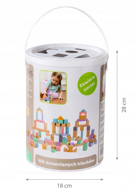 Lesene kocke 100 kosov v vedru s sortirnikom Ecotoys