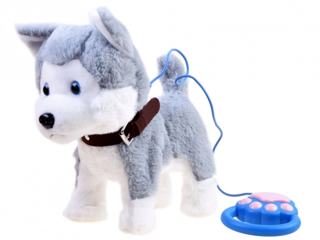 Interaktivni Husky pes na povodcu