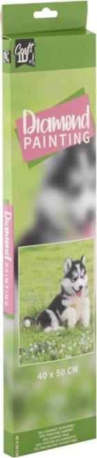 GRAFIX Diamantno slikanje Husky 40x50cm