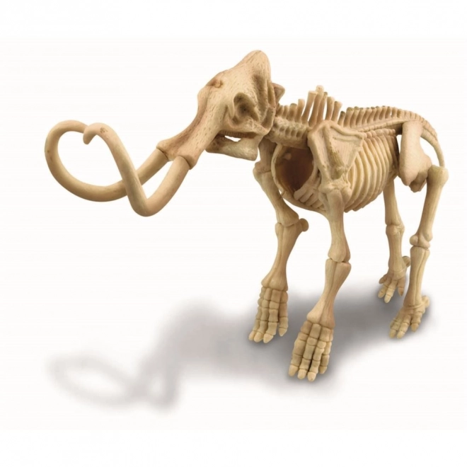 Izkopanine - Mamut