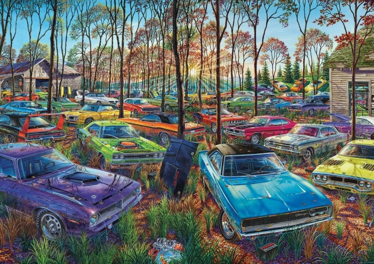 Sestavljanka Avtovrakovišče 1000 koščkov ART PUZZLE