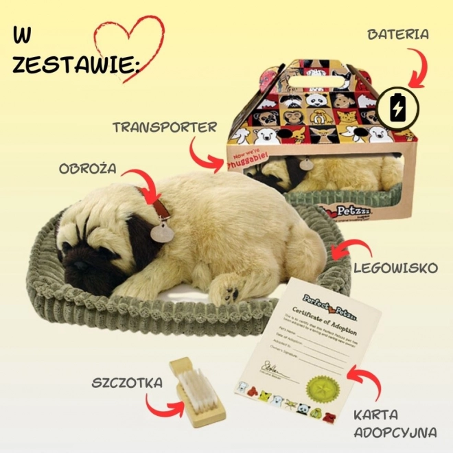 Dihajoči mladiček mops Perfect Petzzz